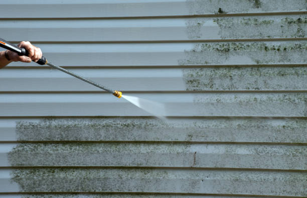 Best Best Pressure Washing Companies  in Antioch, IL